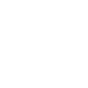 Website Development Icon