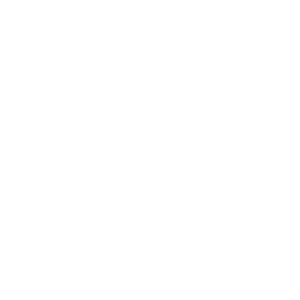 Social Voice Icon Tag